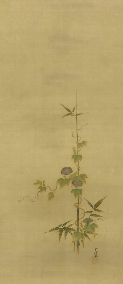 Bamboo and morning glories, Edo period, mid 17th-early 18th century by Kano Tsunenobu